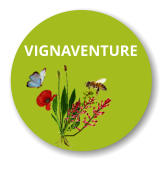 VIGNAVENTURE