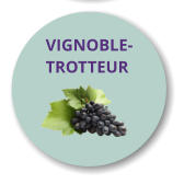 VIGNOBLE- TROTTEUR