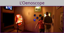 L’Oenoscope