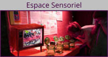 Espace Sensoriel