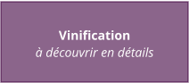 Vinification à découvrir en détails