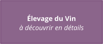 Élevage du Vin à découvrir en détails