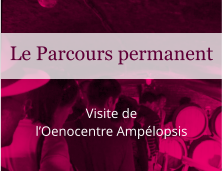 Visite de l’Oenocentre Ampélopsis Le Parcours permanent