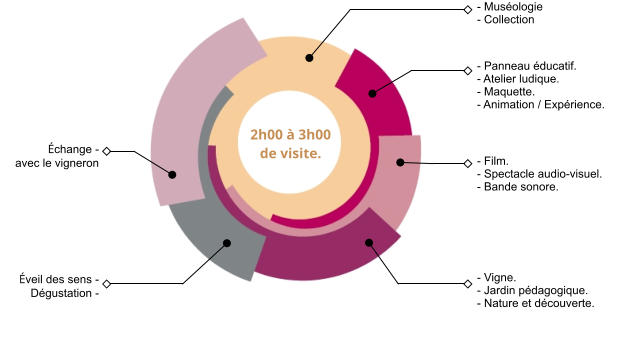 - Muséologie  - Collection - Film. - Spectacle audio-visuel. - Bande sonore. - Panneau éducatif. - Atelier ludique. - Maquette. - Animation / Expérience. - Vigne. - Jardin pédagogique. - Nature et découverte. Éveil des sens - Dégustation - Échange - avec le vigneron 2h00 à 3h00 de visite.