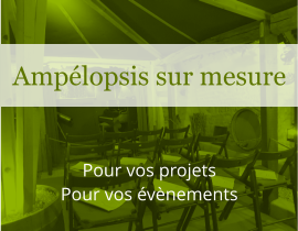 Pour vos projets Pour vos évènements Ampélopsis sur mesure