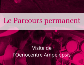 Visite de l’Oenocentre Ampélopsis Le Parcours permanent