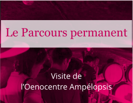 Visite de l’Oenocentre Ampélopsis Le Parcours permanent