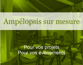 Pour vos projets Pour vos évènements Ampélopsis sur mesure