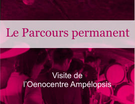 Visite de l’Oenocentre Ampélopsis Le Parcours permanent