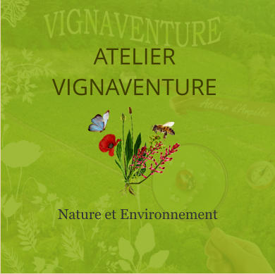 ATELIER VIGNAVENTURE Nature et Environnement