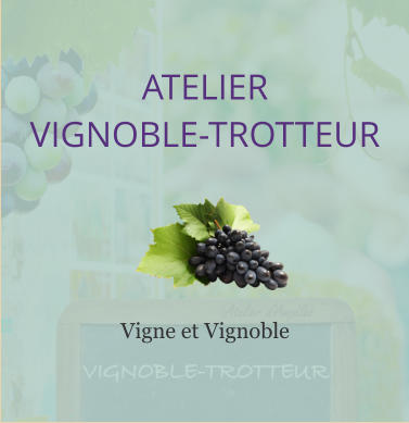 ATELIER VIGNOBLE-TROTTEUR Vigne et Vignoble