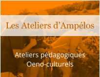 Ateliers pédagogiques Oeno-culturels Les Ateliers d’Ampélos