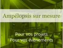 Pour vos projets Pour vos évènements Ampélopsis sur mesure