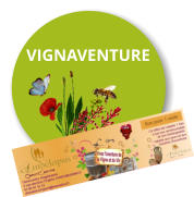 VIGNAVENTURE